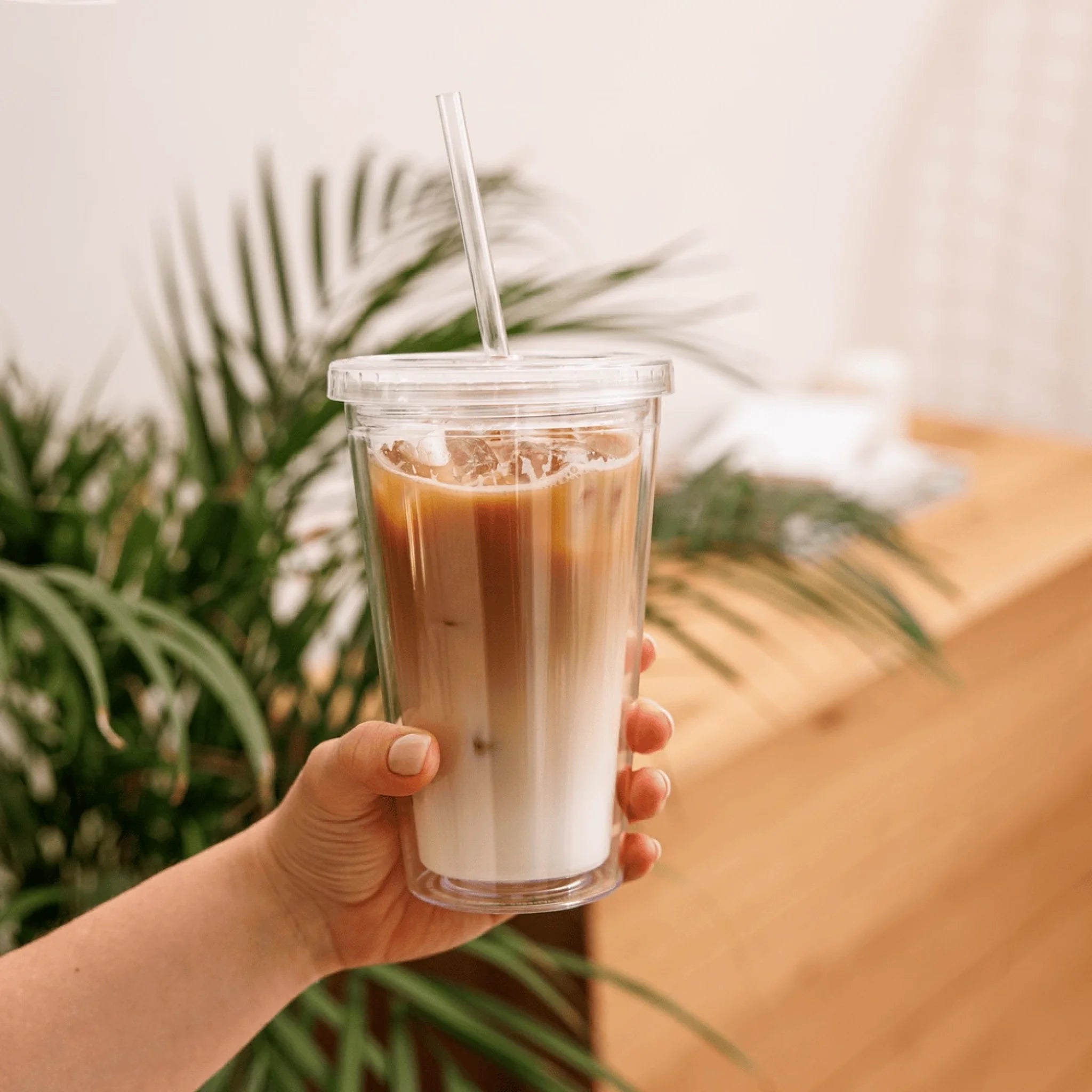 Double Wall Clear Plastic Tumbler (16 oz)