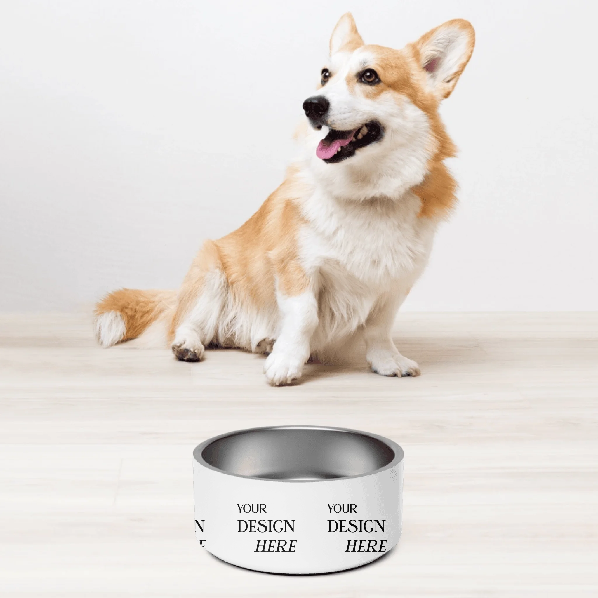 Pet Bowl