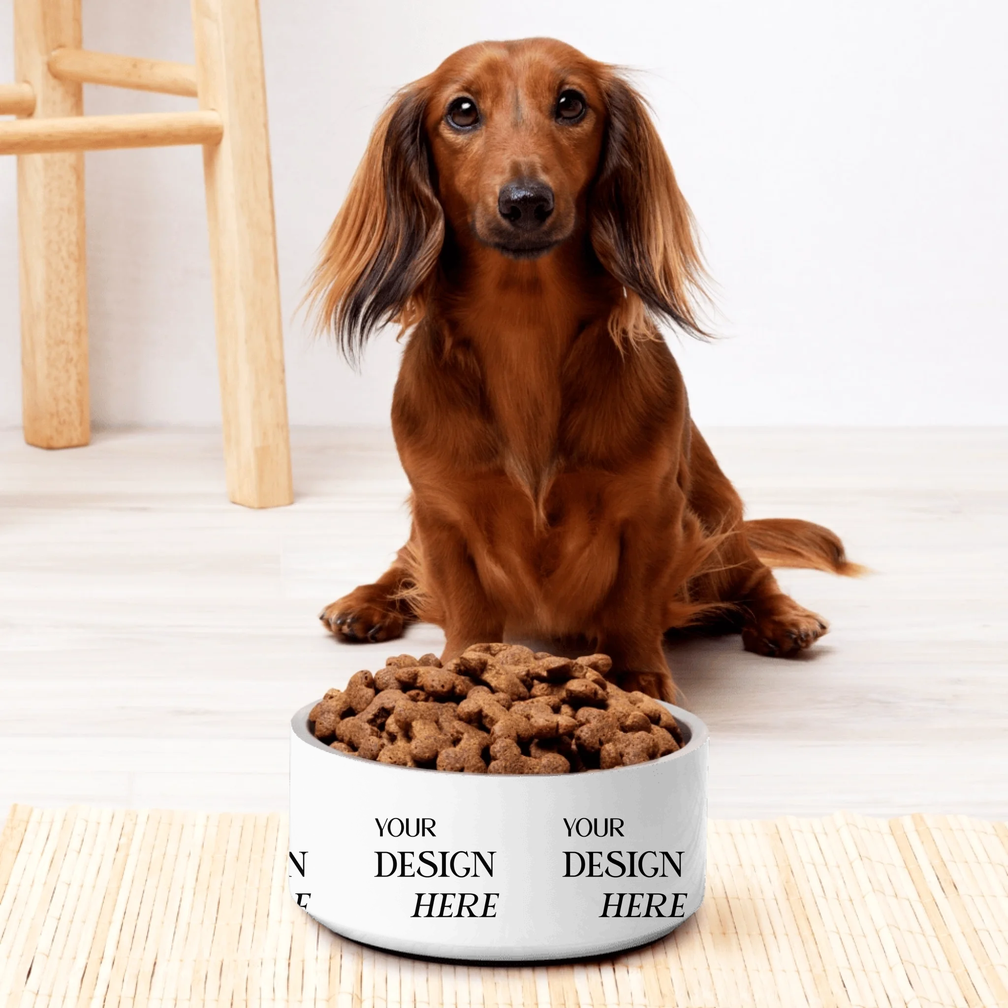 Pet Bowl